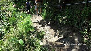 Sentier de randonnée à Mafate : sentier scout