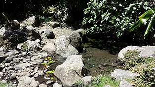 Bassin sur le sentier scout à Mafate