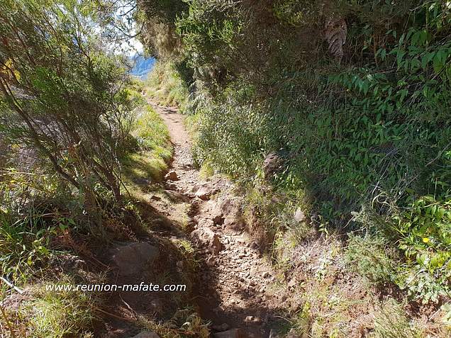 C'est l'un des rares moments où le chemin est presque plat.