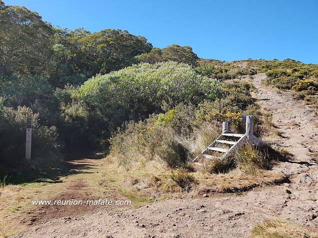 Sentier de Roche-Plate