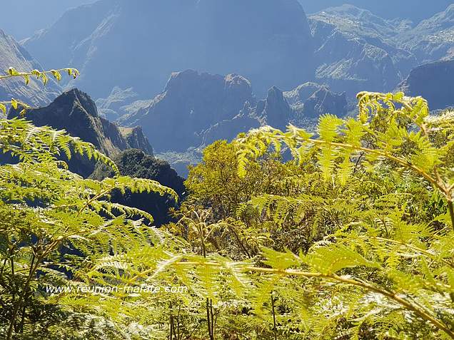 Vue sur la partie Nord du cirque, sublimée par la végétation. Vue sur la partie Nord du cirque, sublimée par la végétation.