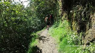 Sentier scout - cirque de Mafate